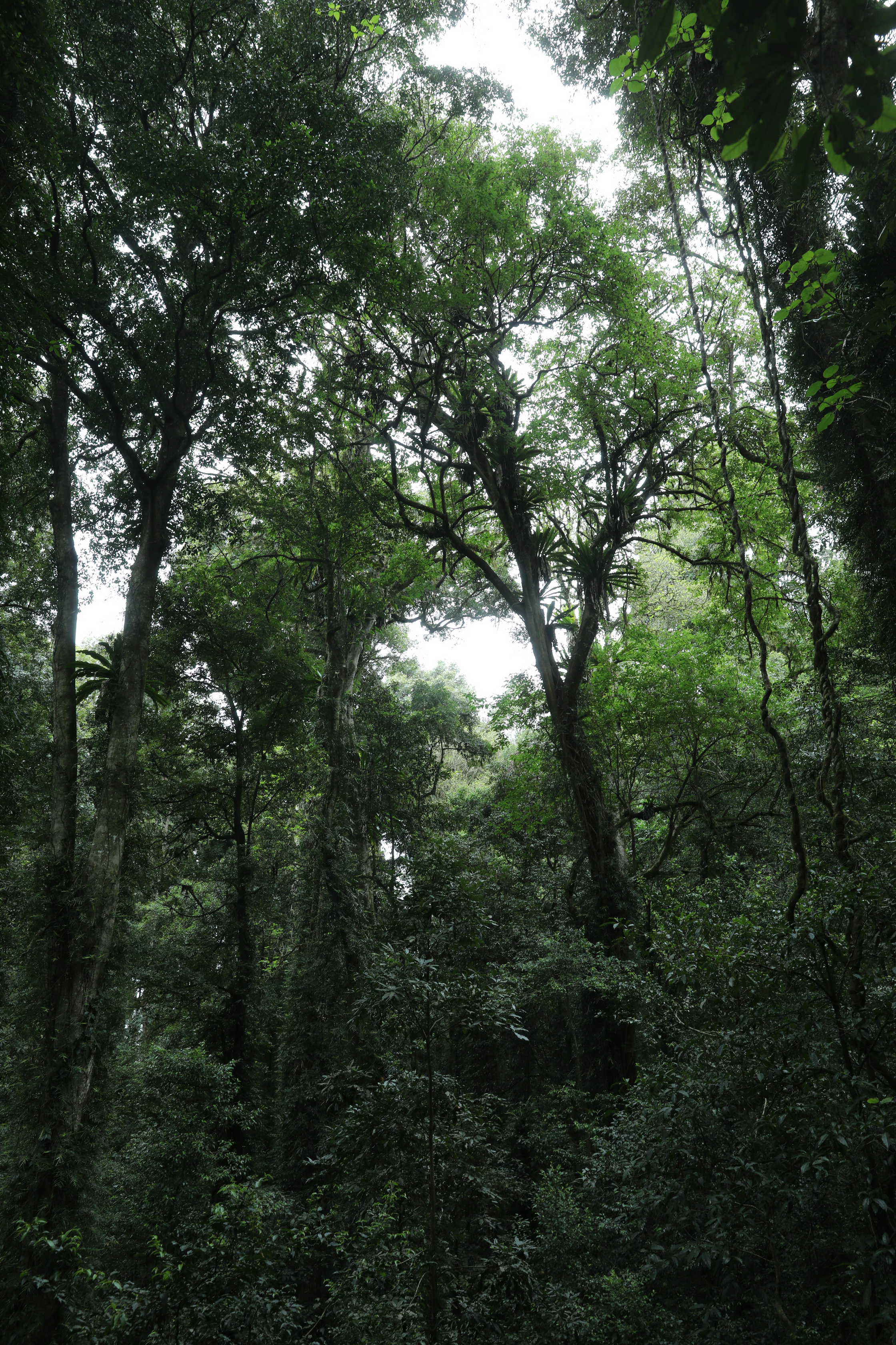 2020 01 14 14 12 53 Canon EOS 5D Mark IV 0014